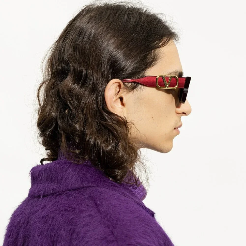 Valentino Men BRAND NEW Sunglasses Crystal Purple Grey Cat Eye V - DUE VLS-103